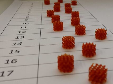 3D Printed Biomaterial Scaffolds