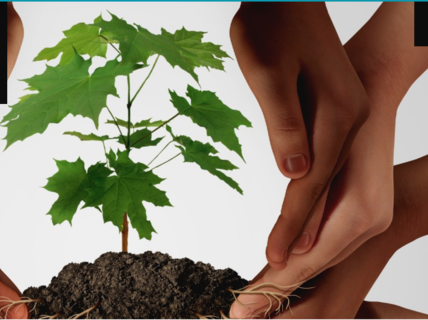 Care ethics in social entrepreneurship promotes social sustainability