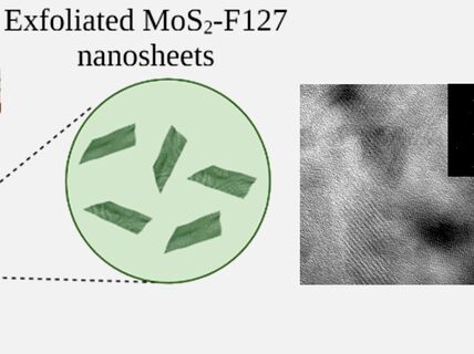 Electrochemical Sensing of Breast Cancer Metabolic Biomarkers in Urine