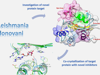 Nucleoside Diphosphate Kinases: Protein 3D Structure Determination and Hit Identification (FINNDK)