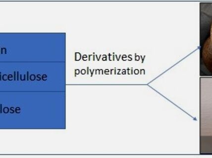 Bio-based polymers/resins from bio-based resources for tissue engineering and /or wood products