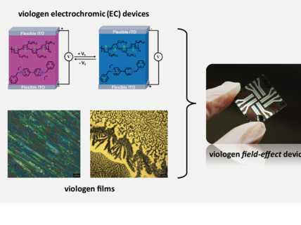  Development of Flexible Viologen-based Electrochromic Devices