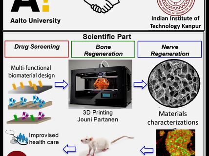 Elevating Biomaterials Research: A Synergistic Approach for High-Impact Biomedical Applications 