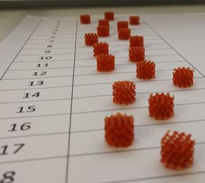 3D Printed Biomaterial Scaffolds