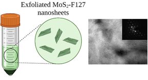 Electrochemical Sensing of Breast Cancer Metabolic Biomarkers in Urine