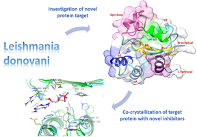 Nucleoside Diphosphate Kinases: Protein 3D Structure Determination and Hit Identification (FINNDK)