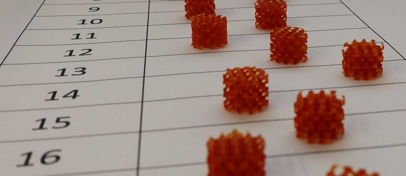 3D Printed Biomaterial Scaffolds